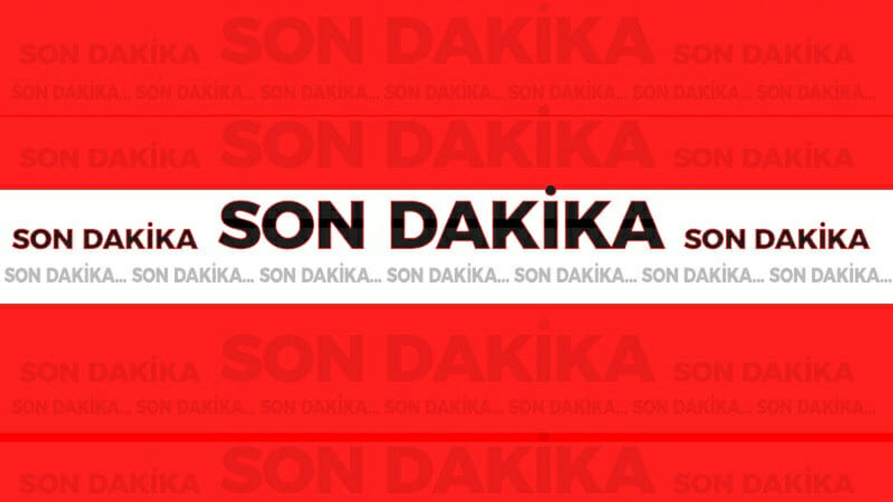 2 kişinin öldüğü olayın zanlıları 4 ay sonra yakalandı