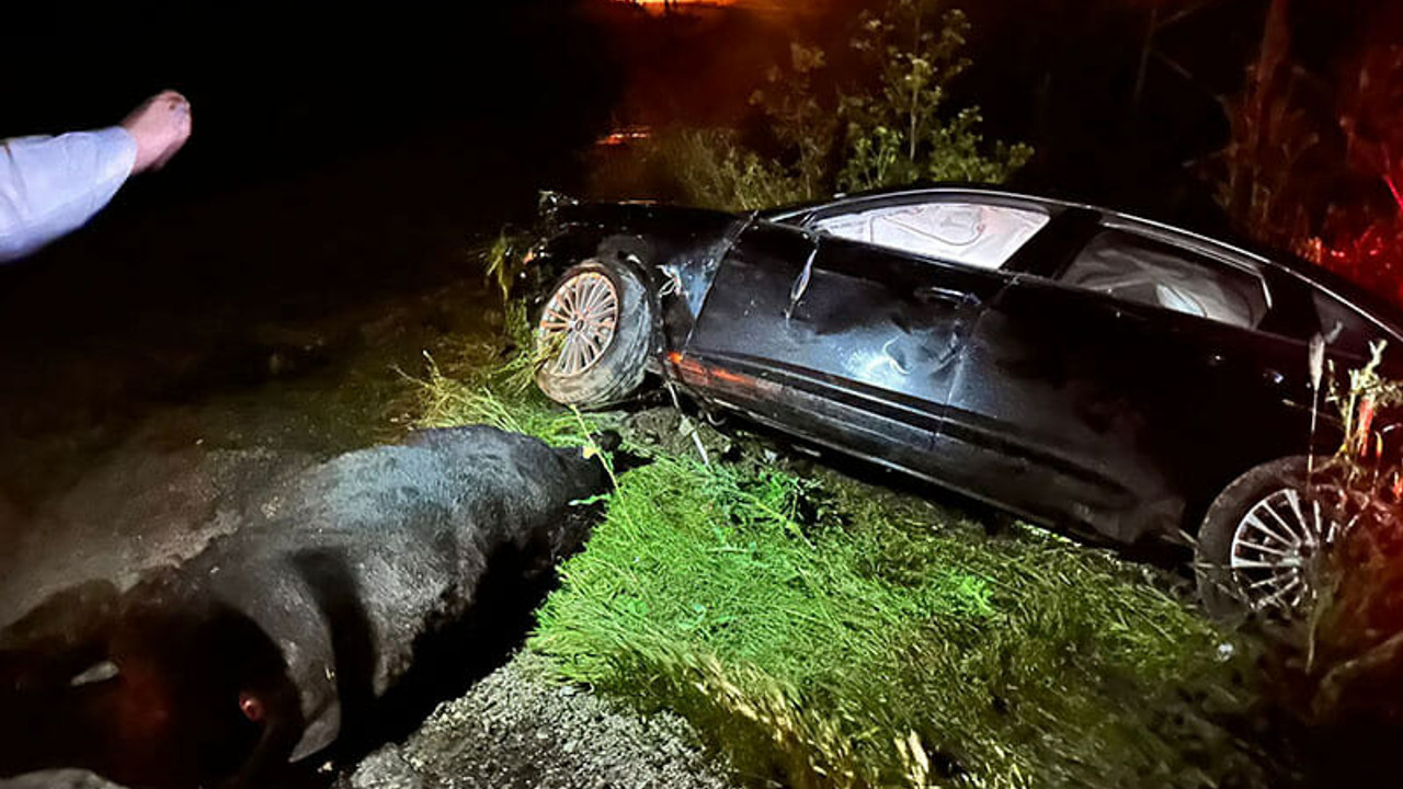 Ak Partili vekil ve oğlu trafik kazası geçirdi