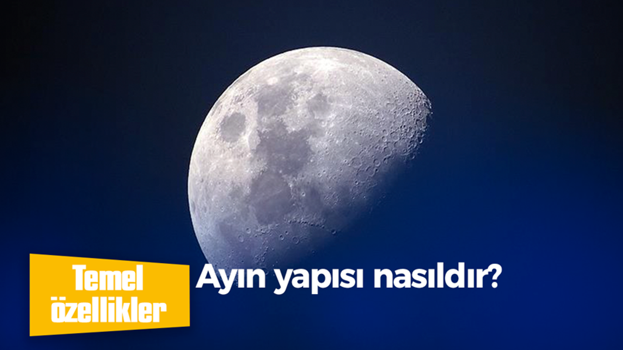 Ayın yapısı nasıldır?
