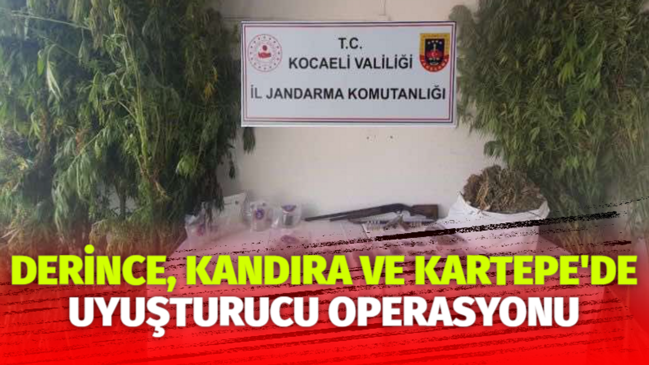 Derince, Kandıra ve Kartepe'de uyuşturucu operasyonu!