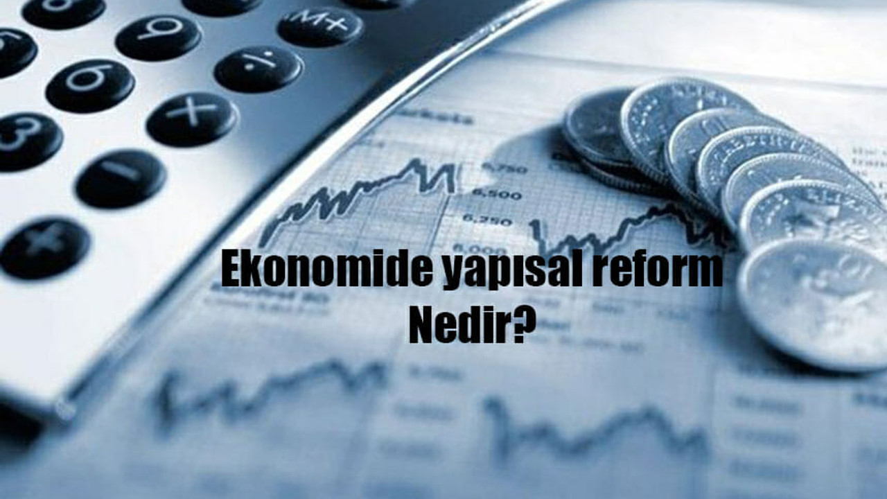 Ekonomide yapısal reform nedir?