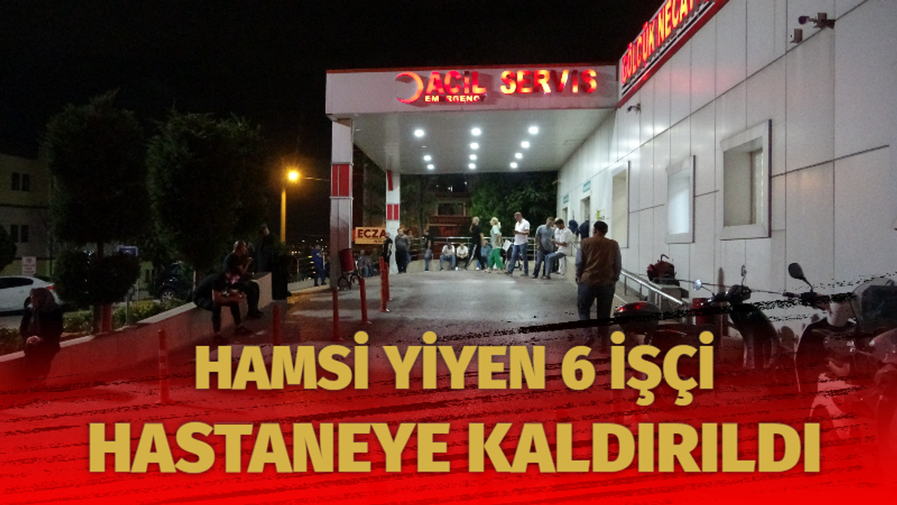 Hamsi yiyen 6 işçi zehirlenme şüphesiyle hastaneye kaldırıldı