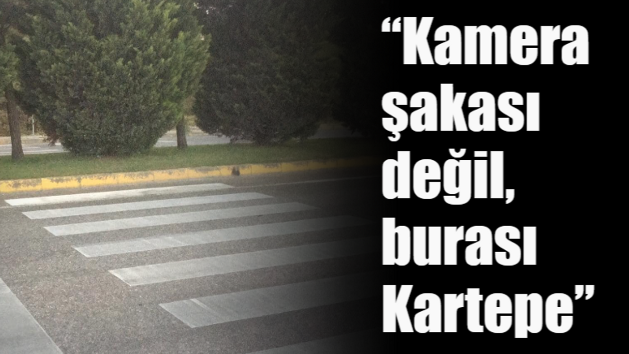 “Kamera şakası değil, burası Kartepe”