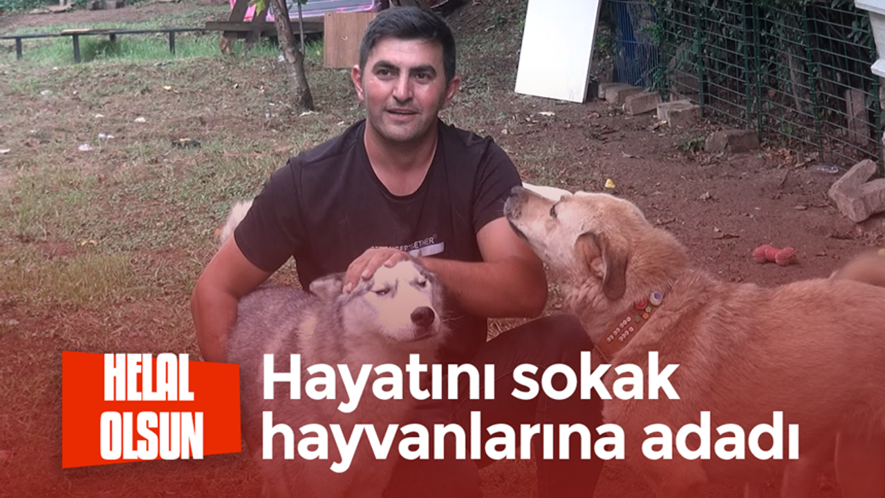 Sokak hayvanlarına kendini adadı