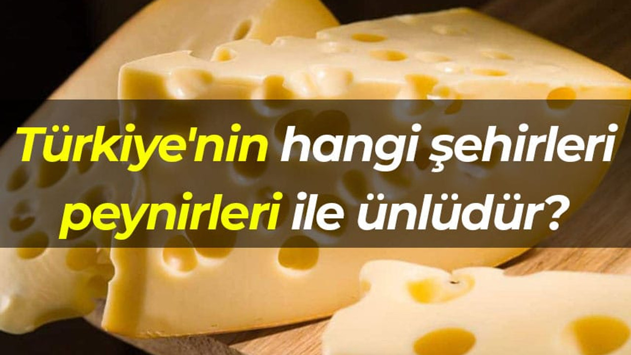 Türkiye'nin hangi şehirleri peynirleri ile ünlüdür?