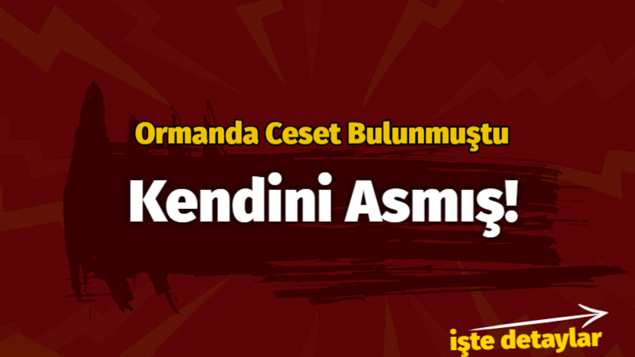 Ormanda cesedi bulunmuştu: Kendini asmış!