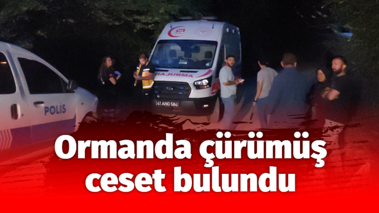 Ormanda çürümüş ceset bulundu