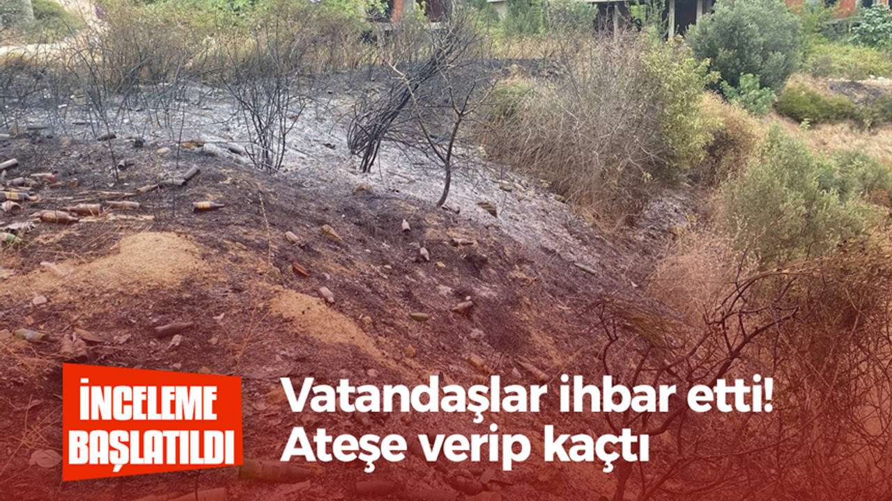 Vatandaşlar ihbar etti! Ateşe verip kaçtı