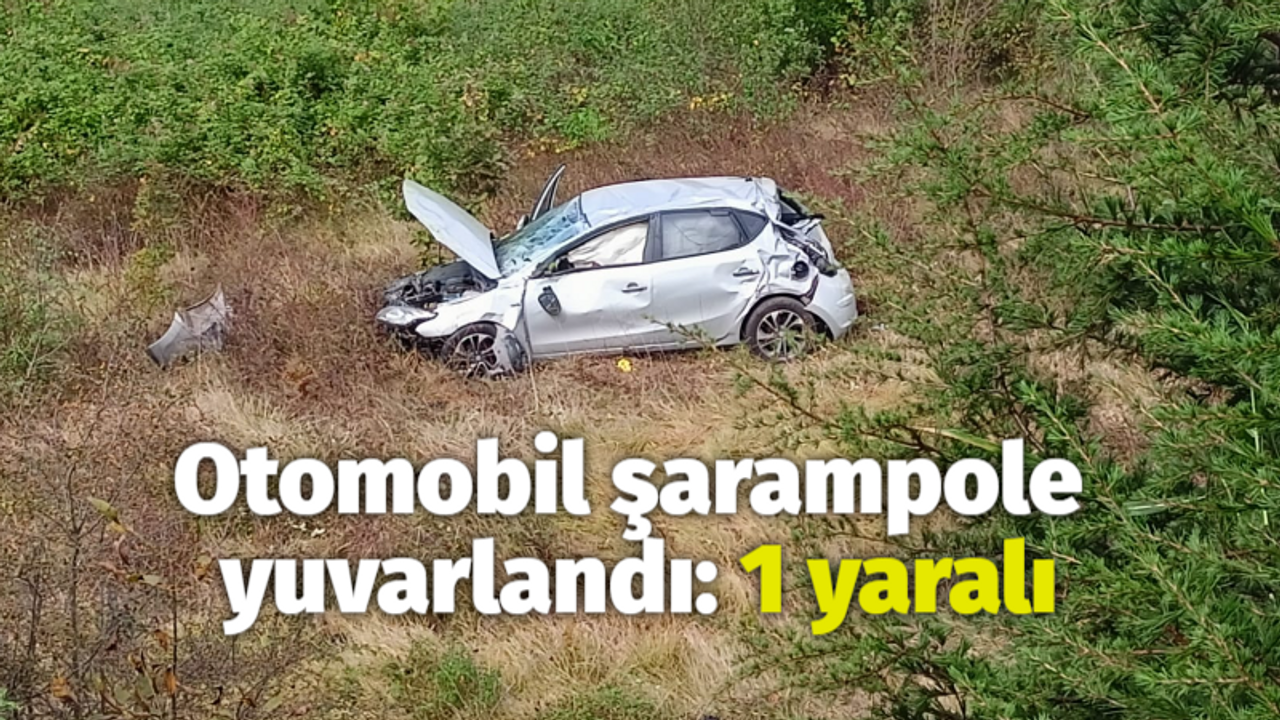 Otomobil şarampole yuvarlandı: 1 yaralı