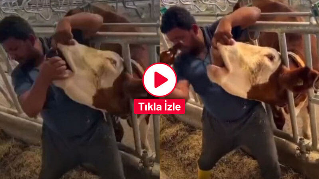 Yaptığıyla izleyenleri çıldırttı! Sonrasında ise “Bizi yanlış anlamışlar” dedi