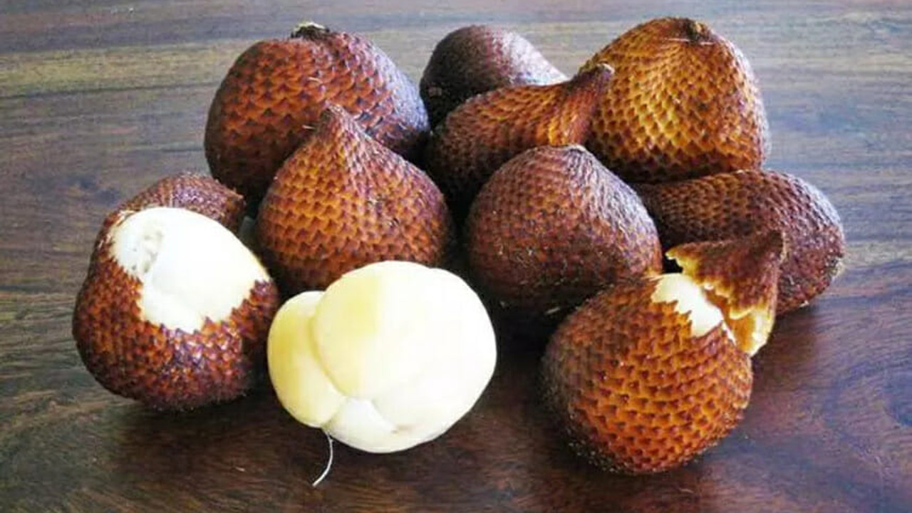 Yılan Meyvesi: Tropikalin gizli hazinesi