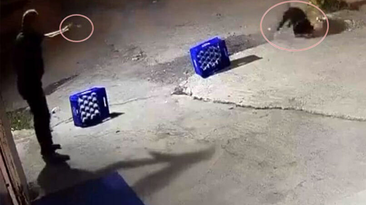 Bunun adı: Vahşet