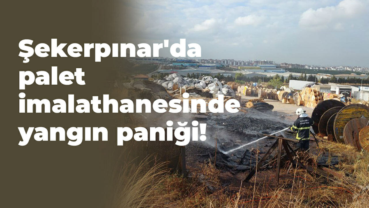 Şekerpınar'da palet imalathanesinde yangın paniği!