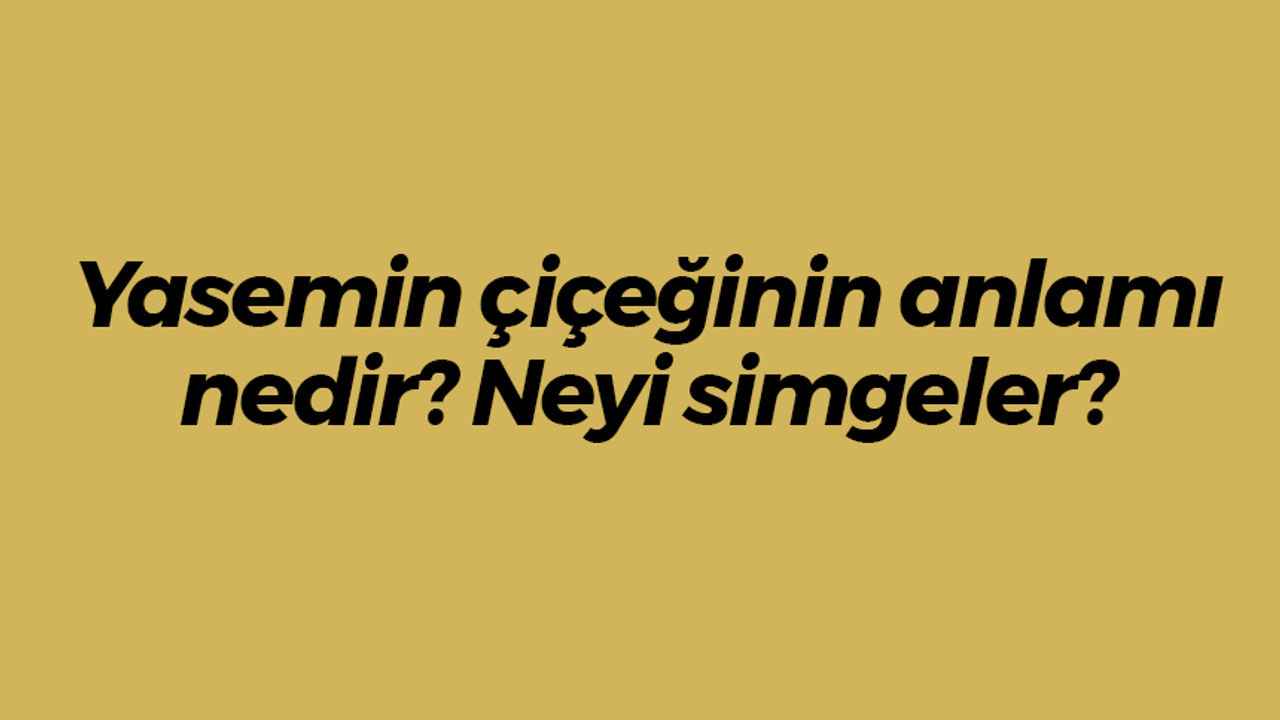 Yasemin çiçeğinin anlamı nedir? Neyi simgeler?