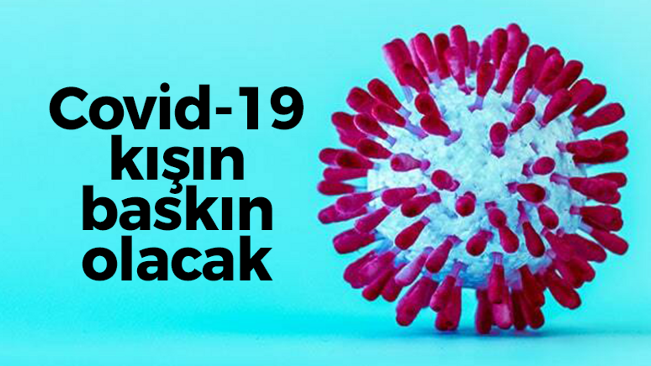 Covid-19 kış döneminde baskın olacak