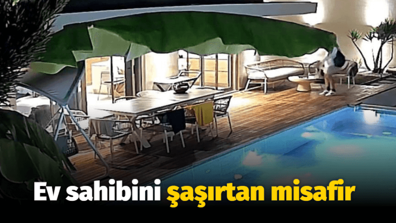 Ev sahibini şaşırtan misafir