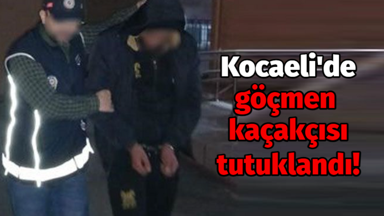 Kocaeli'de göçmen kaçakçısı tutuklandı!