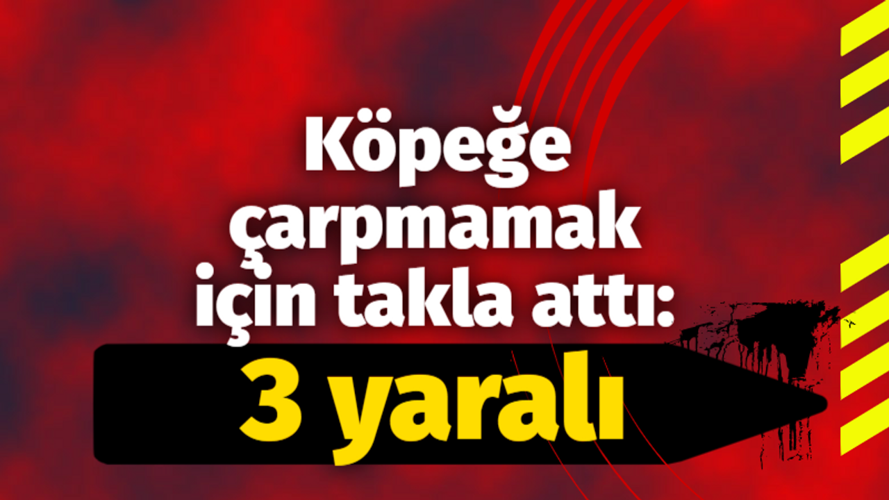 Köpeğe çarpmamak için takla attı: 3 yaralı