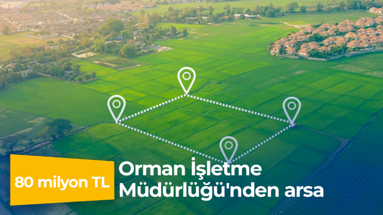 Orman İşletme Müdürlüğü'nden 80 milyon TL’ye arsa