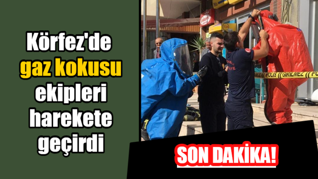 Son dakika! Körfez'de gaz kokusu ekipleri harekete geçirdi