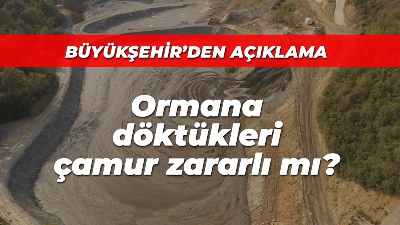 Büyükşehir'den açıklama! Ormana döktükleri çamur zararlı mı?