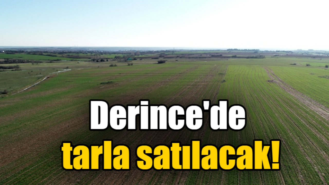 Derince'de tarla satılacak!