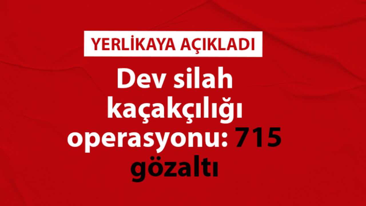 Dev silah kaçakçılığı operasyonu: 715 gözaltı