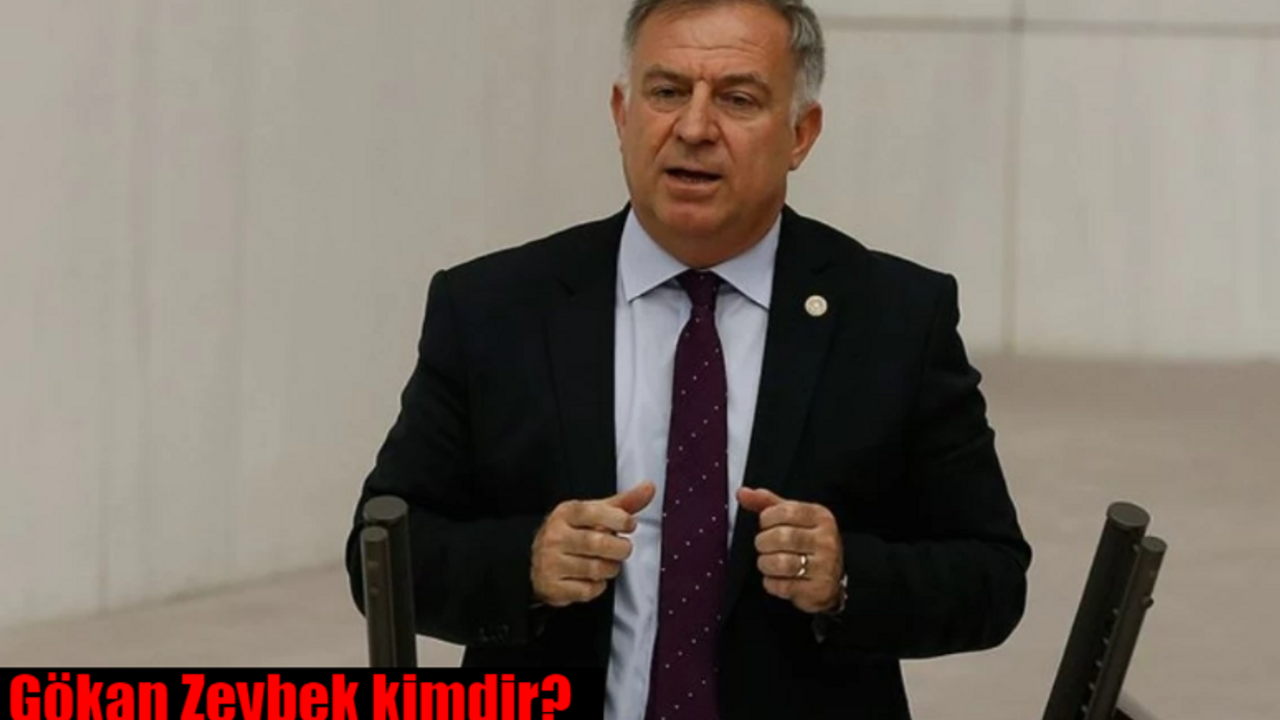 Gökan Zeybek kimdir, kaç yaşında, nereli? Gökan Zeybek'in mesleği nedir, ne iş yapıyor?