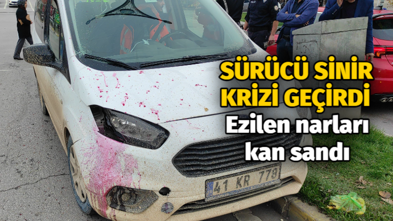 Her yeri kırmızı görünce çarptığı yayanın kanı sandı, sinir krizi geçirdi