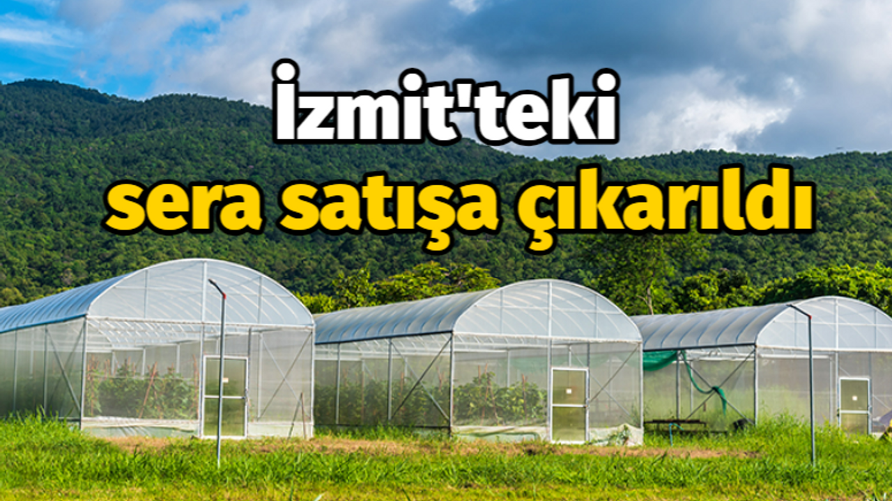 İzmit'teki sera satışa çıkarıldı