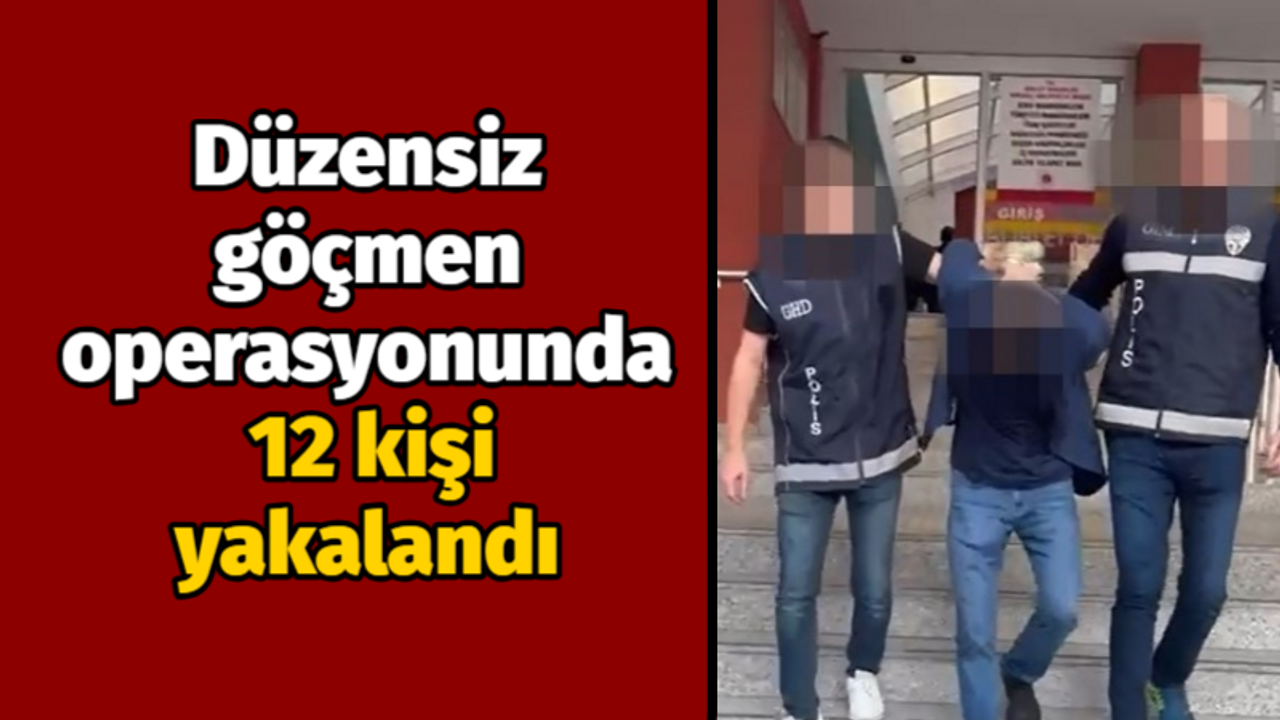 Kocaeli'deki düzensiz göçmen operasyonunda 12 kişi yakalandı