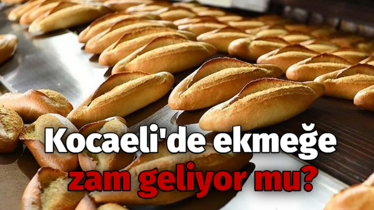 Kocaeli'de ekmeğe zam geliyor mu?