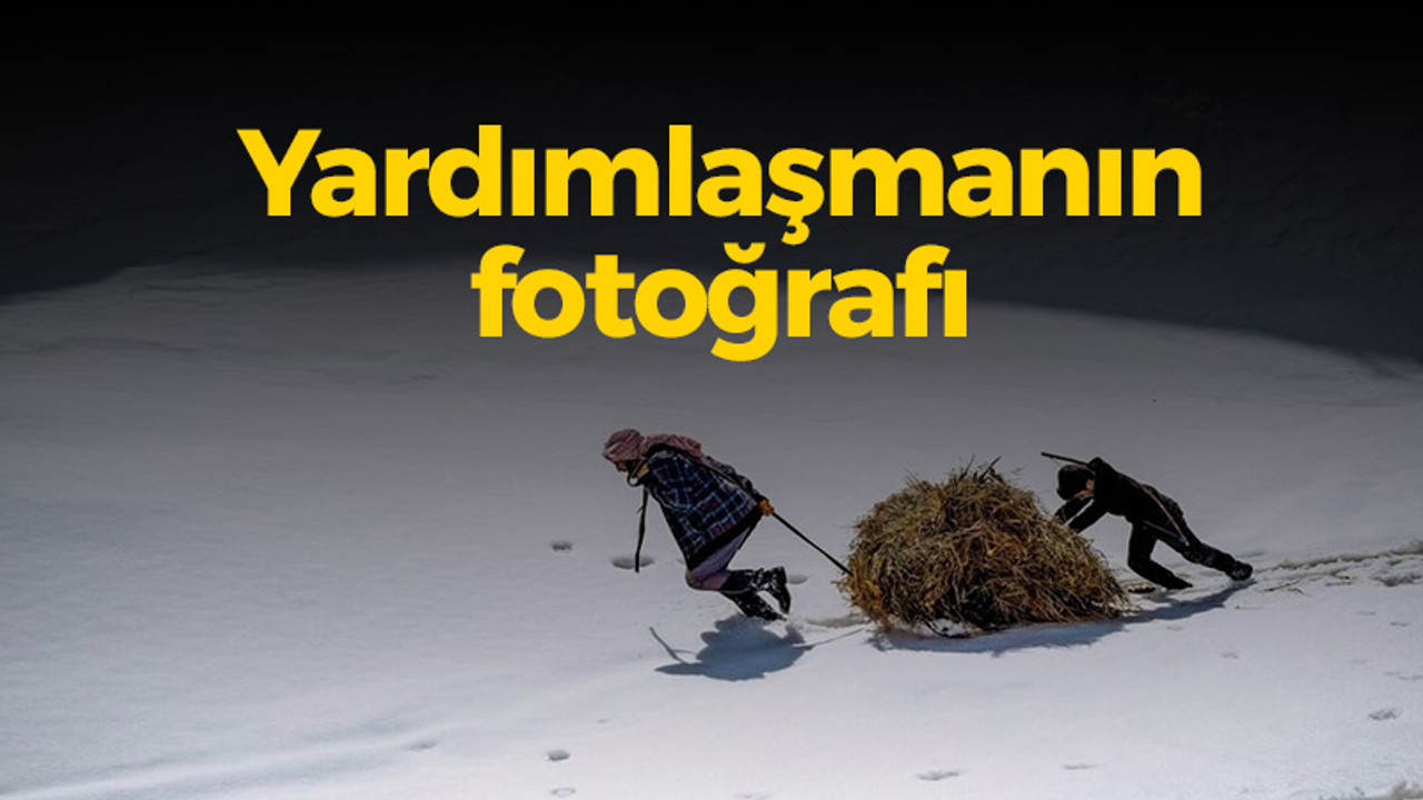 Yardımlaşmanın fotoğrafı