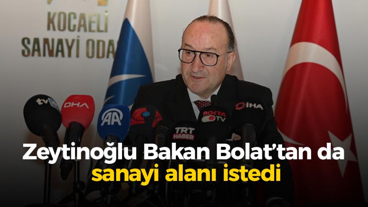 Zeytinoğlu Bakan Bolat’tan da sanayi alanı istedi