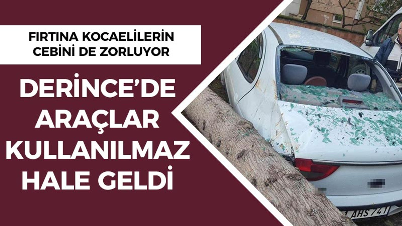 Fırtına Kocaelilerin cebini de zorluyor: Araçlar kullanılmaz hale geldi