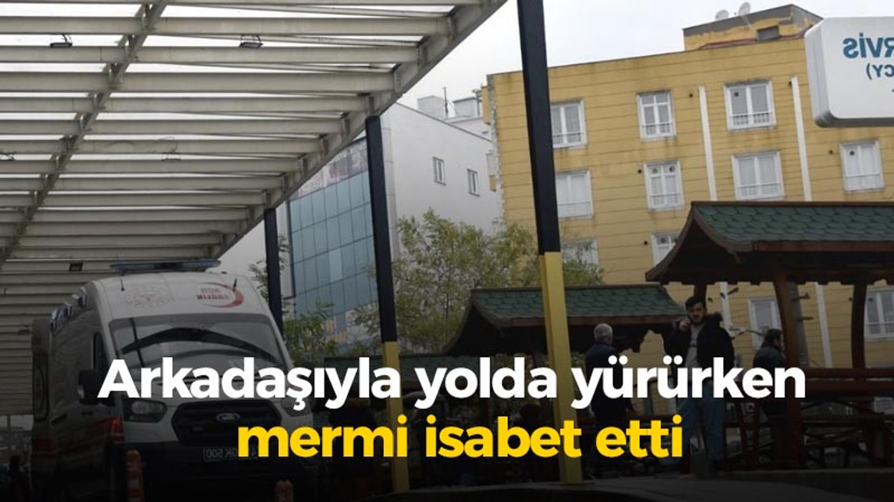 Arkadaşıyla yolda yürürken mermi isabet etti