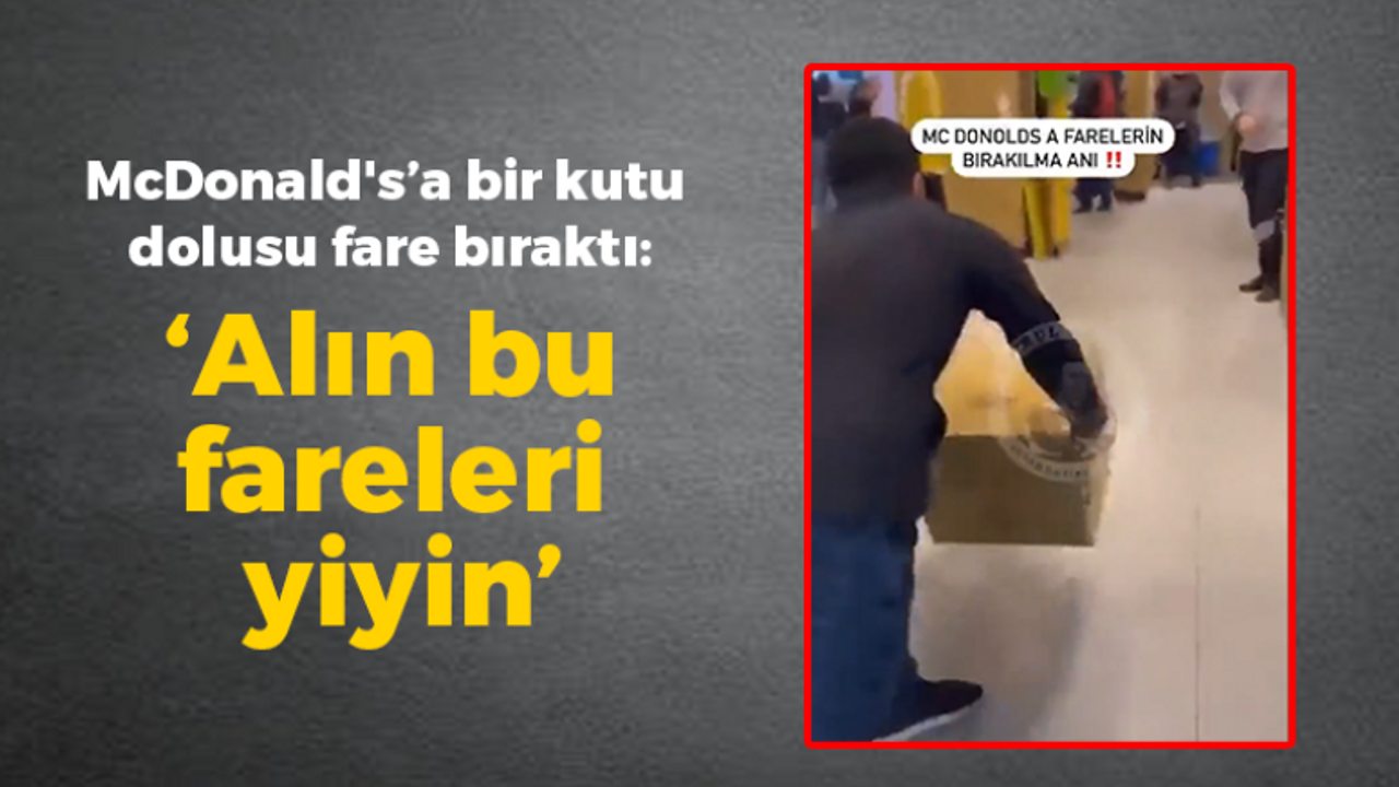 McDonald's'a bir kutu dolusu fare bırakıldı: 'Alın bu fareleri yiyin'