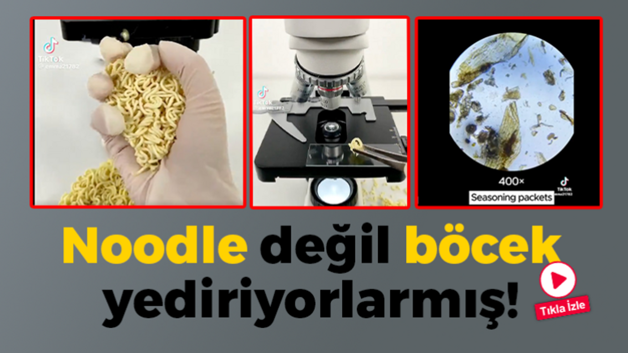 Noodle değil böcek yediriyorlarmış! İğrenç görüntüler…