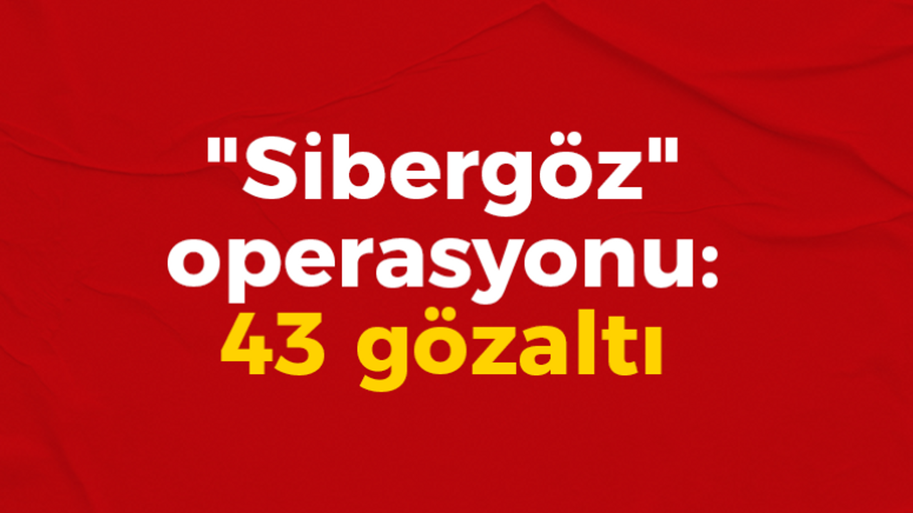 "Sibergöz" operasyonu: 43 gözaltı