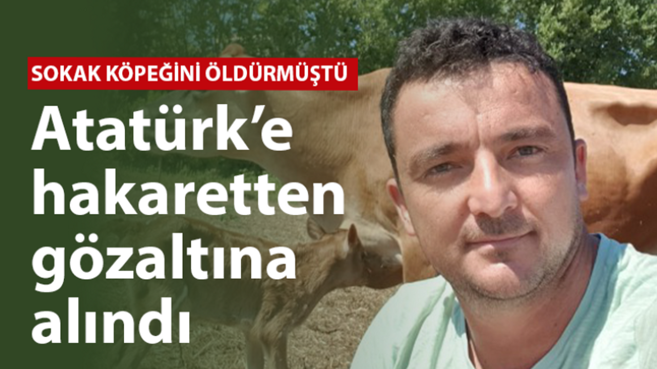 Sokak köpeğini öldürmüştü, Atatürk’e hakaretten gözaltına alındı