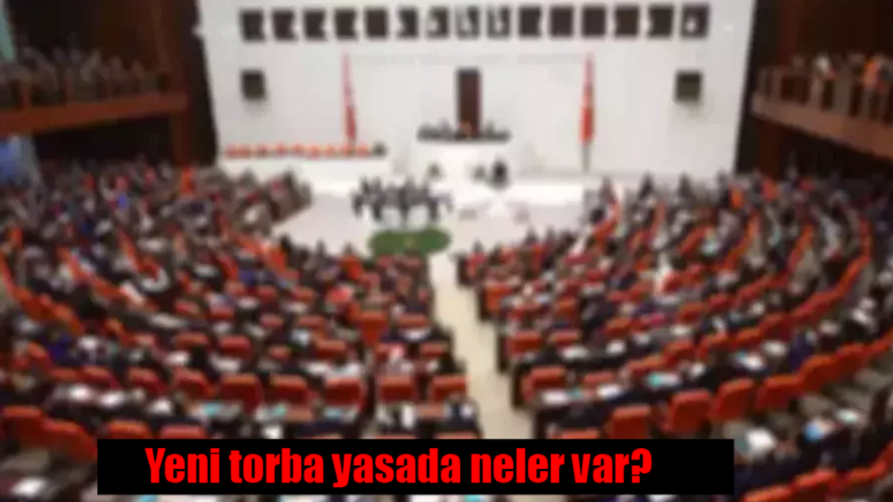 Yeni torba yasada neler var, içeriği ve maddeleri neler? 2. torba yasa Melis'e ne zaman gelecek?