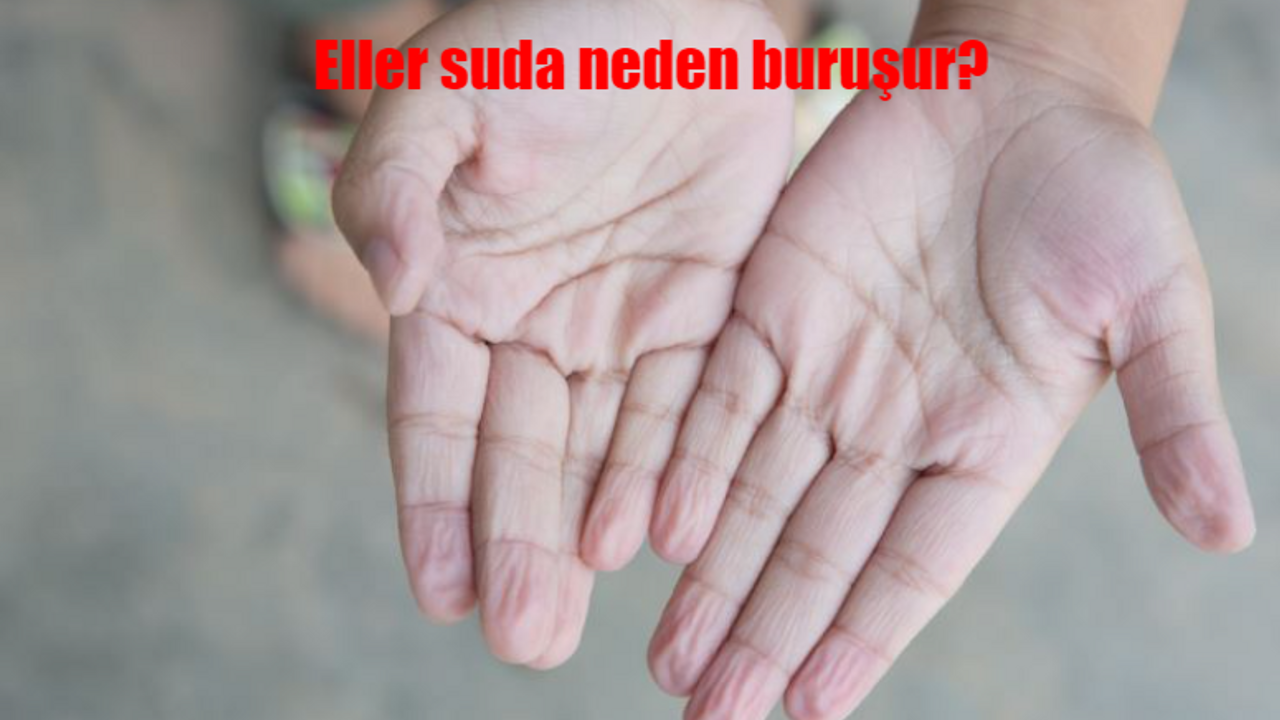 Ellerimiz neden suda buruşuyor?