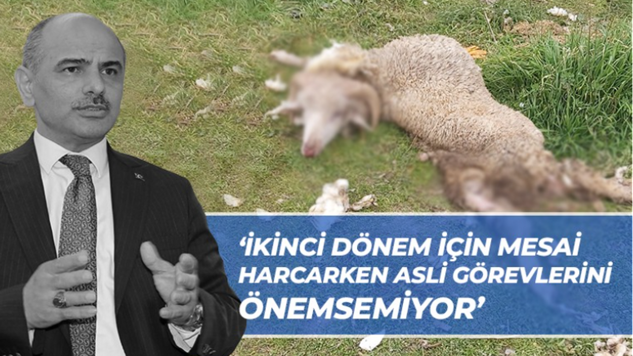 Erkan Uygun’dan Şener Söğüt’e tepki! “Asli görevlerini önemsemiyor”