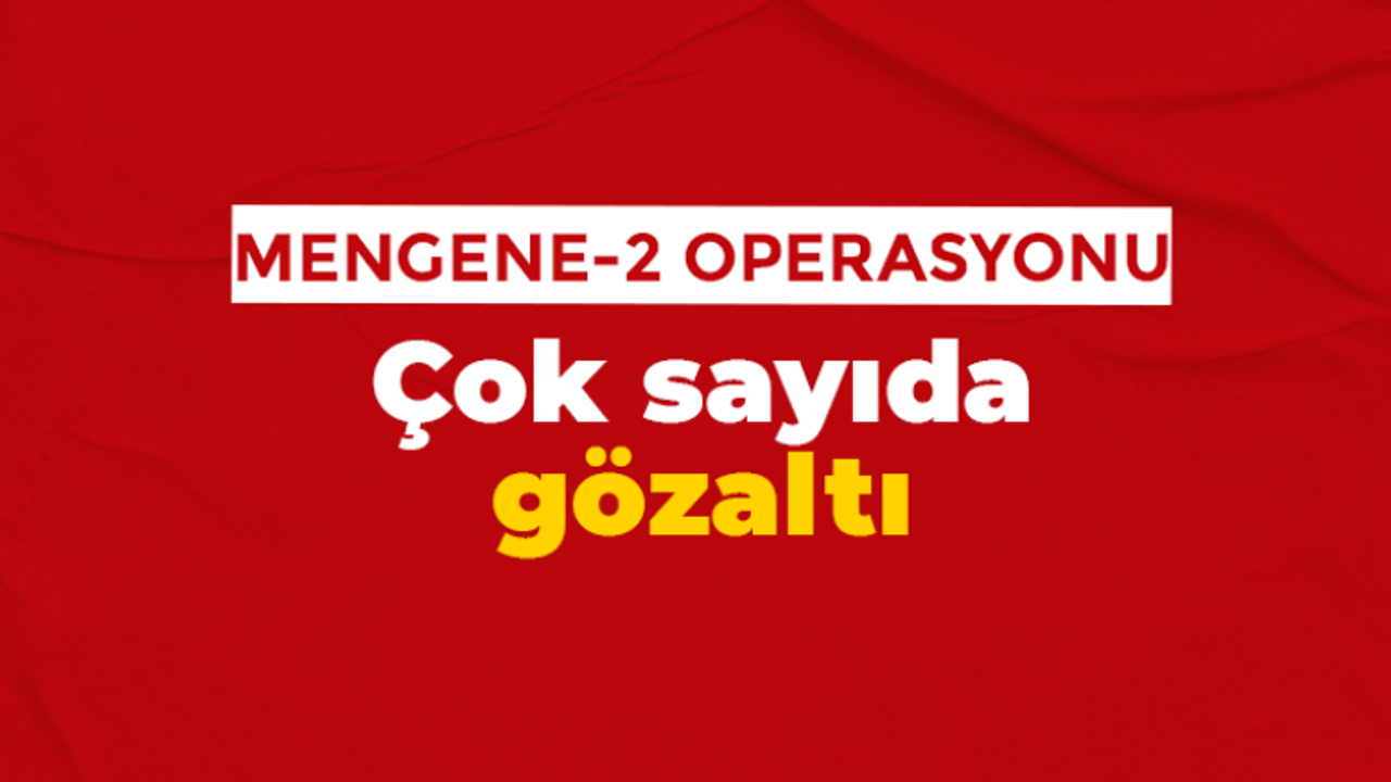 Mengene-2 operasyonu: Çok sayıda gözaltı,