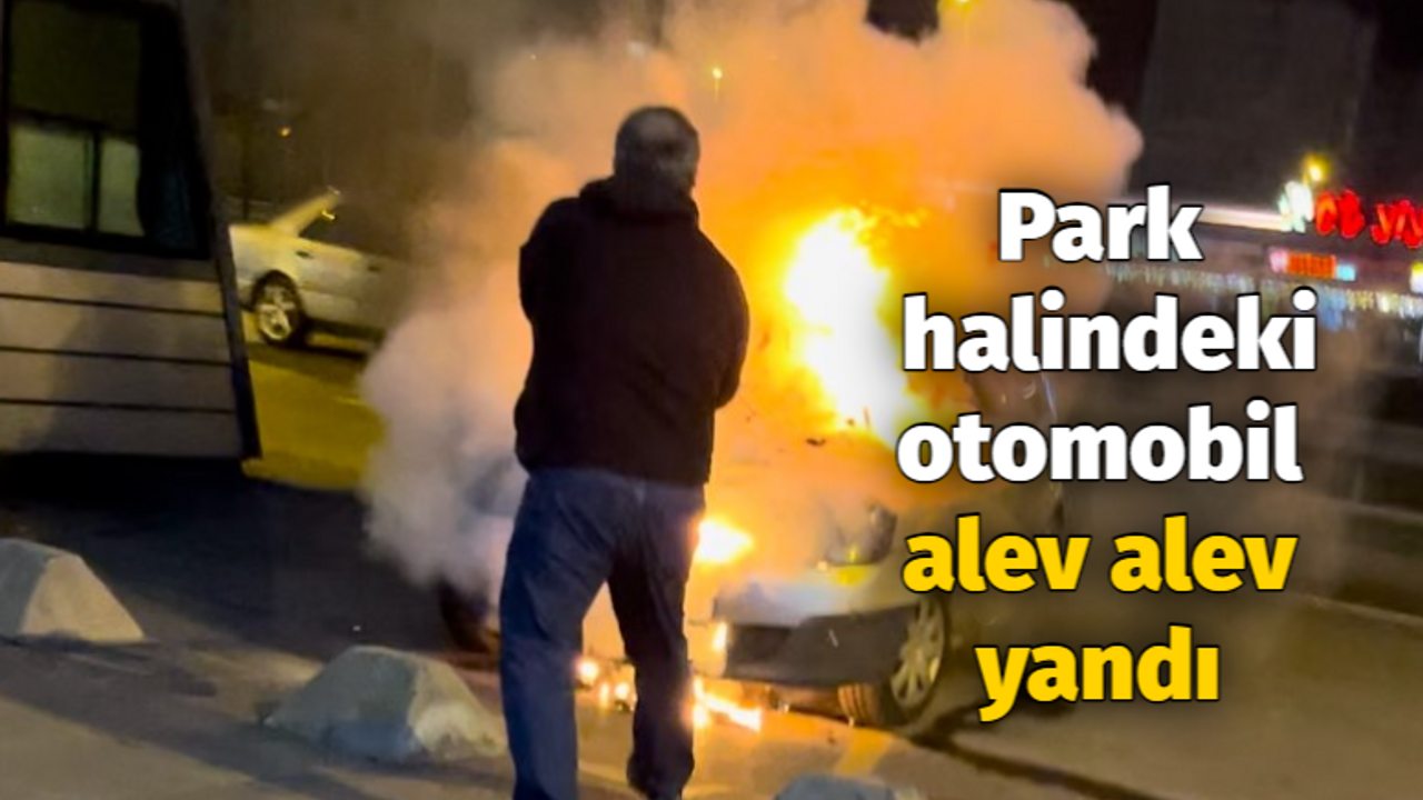 Park halindeki otomobil alev alev yandı