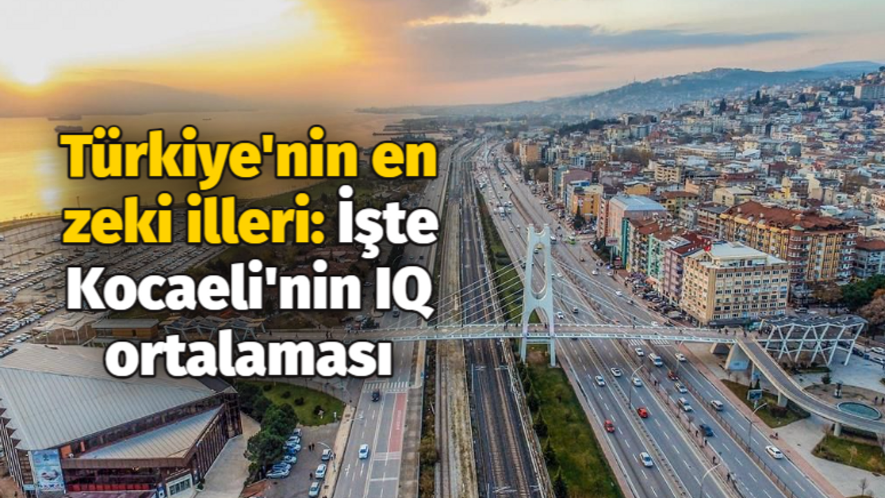 Türkiye'nin en zeki illeri: İşte Kocaeli'nin IQ ortalaması