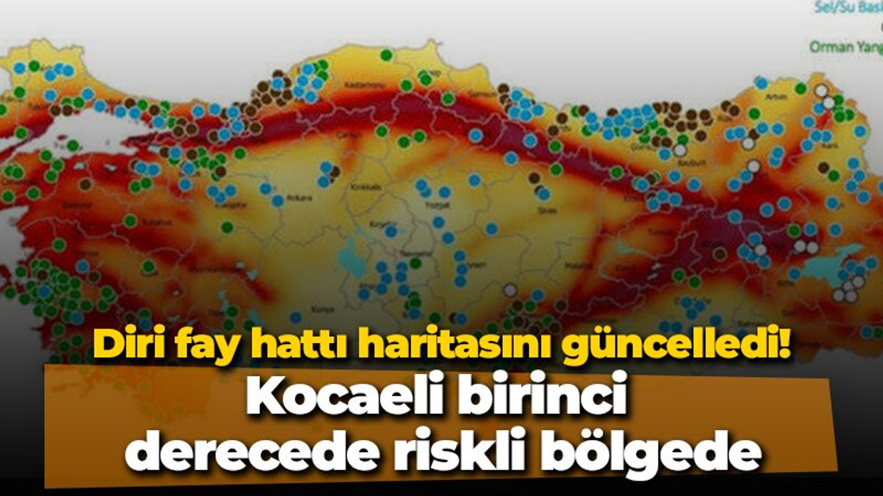 Türkiye diri fay hattı haritasını güncelledi! Kocaeli birinci derecede riskli bölgede