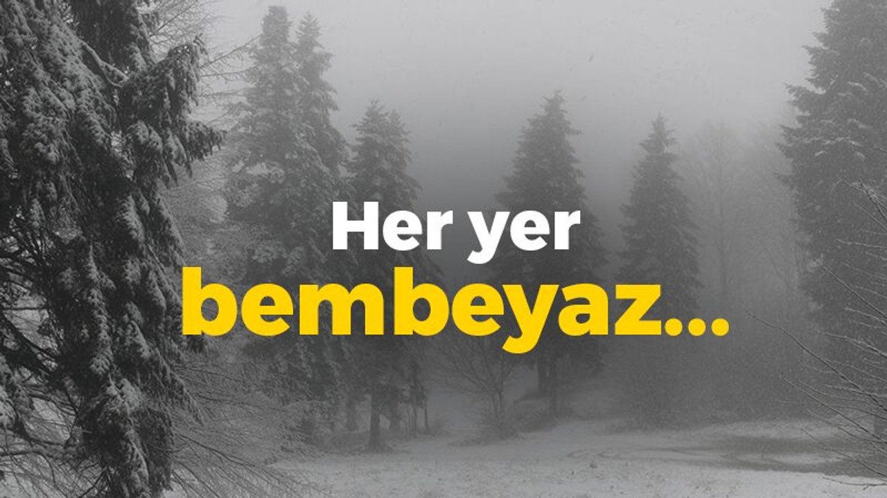 Her yer bembeyaz...