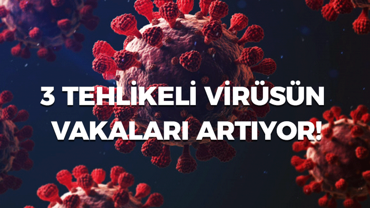 3 tehlikeli virüsün vakaları artıyor!