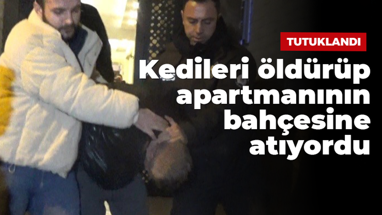 Kedileri öldüren cani tutuklandı